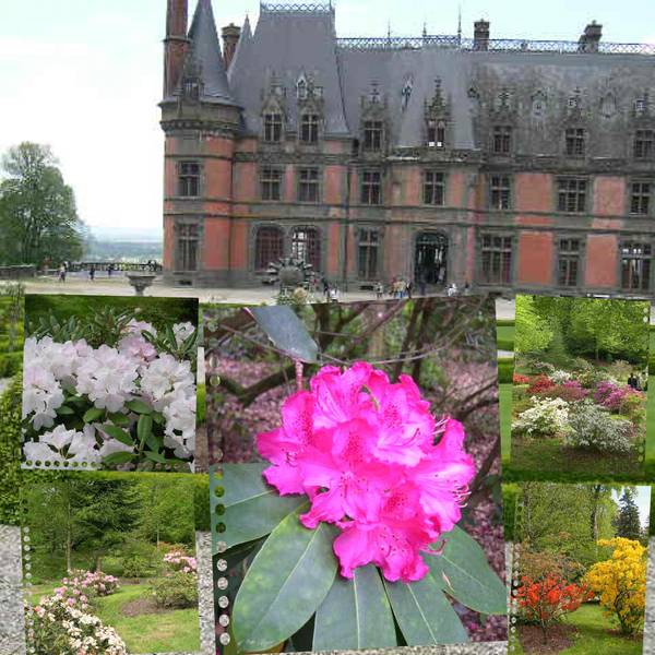 le château de Trévarez 2