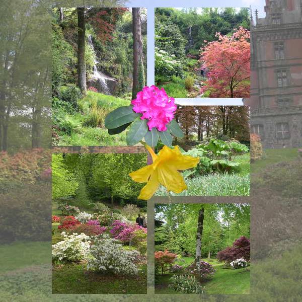 le château de Trévarez l'arrière du parc