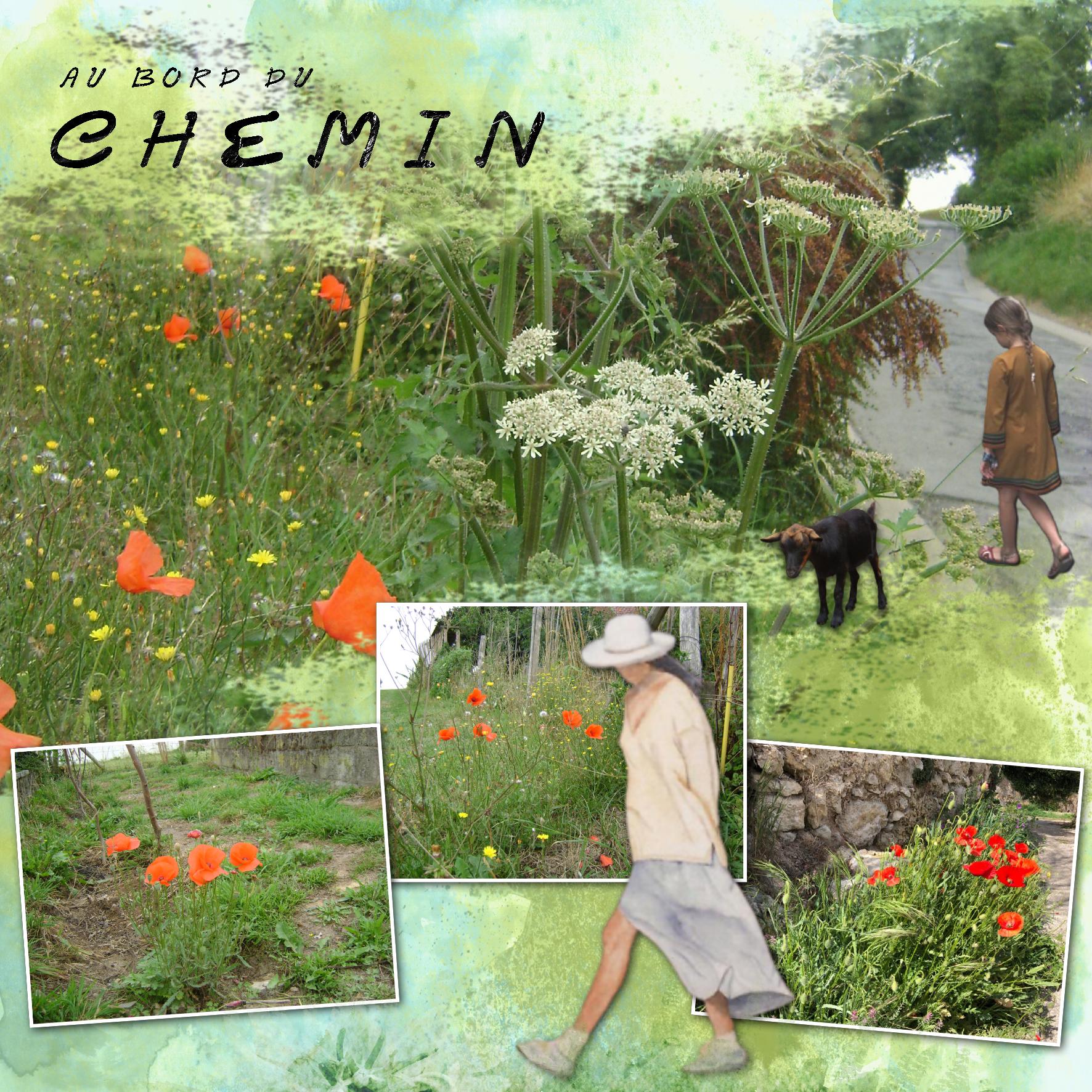 le chemin.jpg