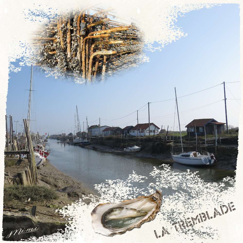 le chenal -La Tremblade