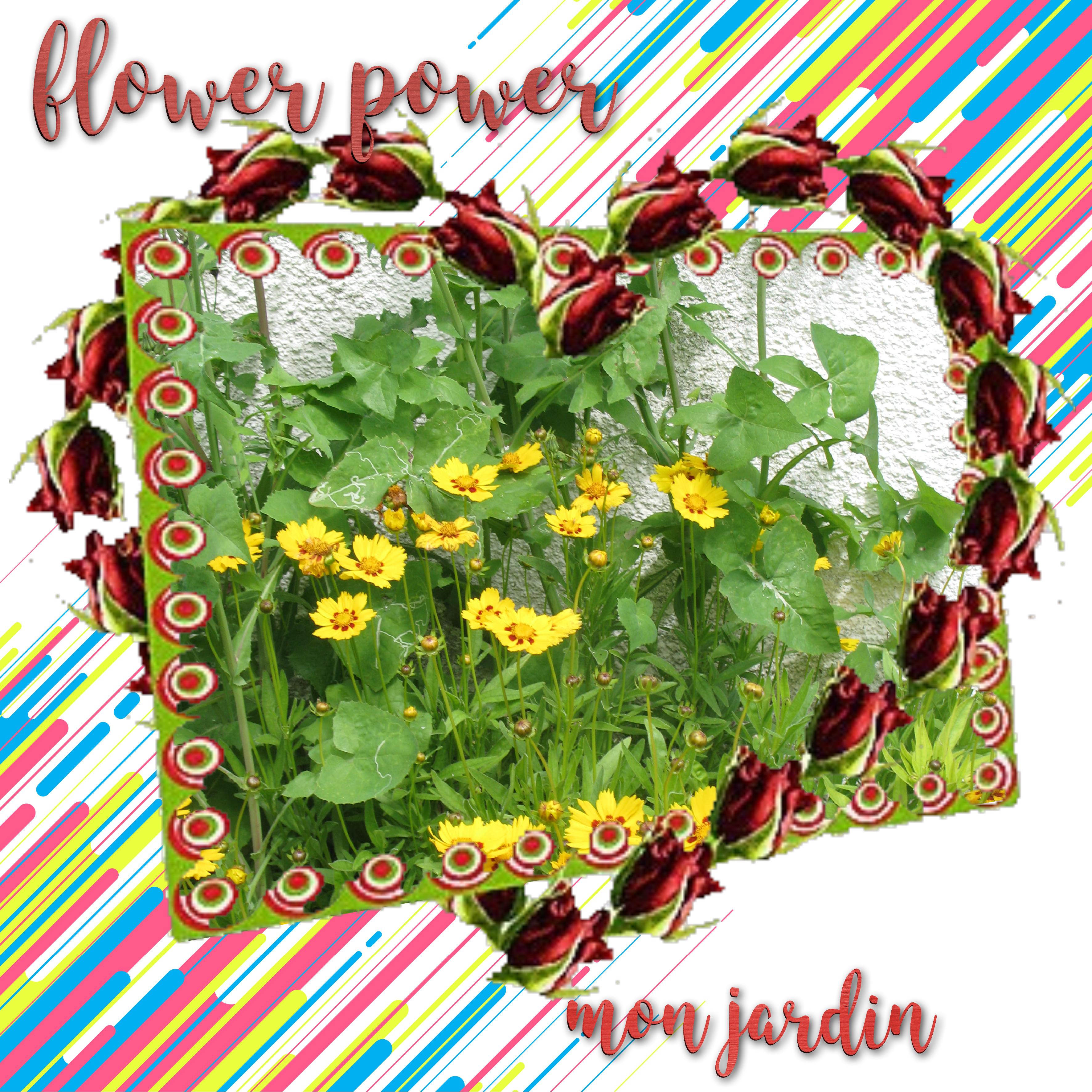 le coeur fleuri fait.jpg