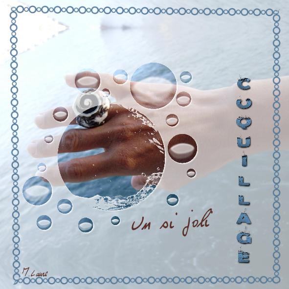 Le coquillage .... Précieux ...