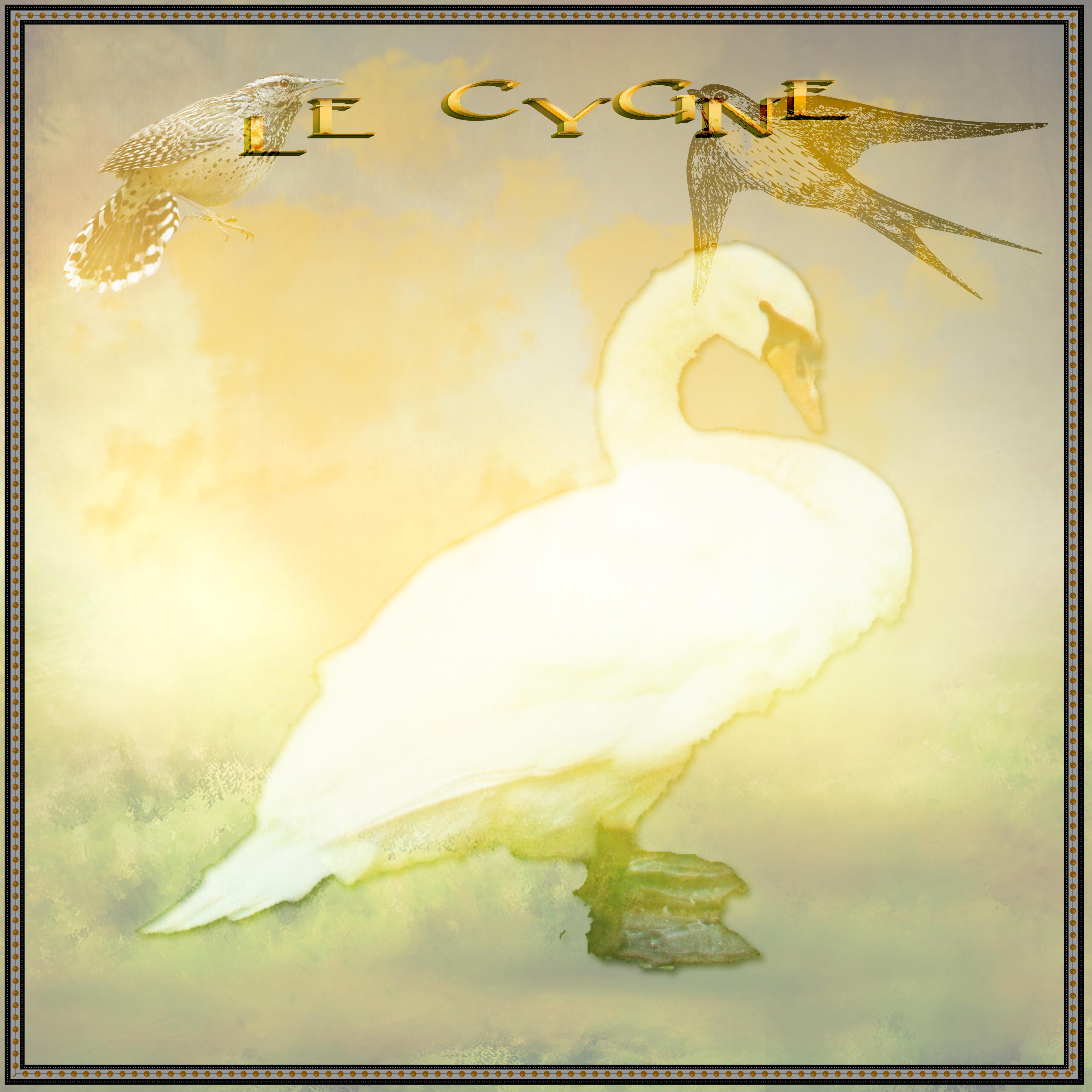 le cygne  bis.jpg