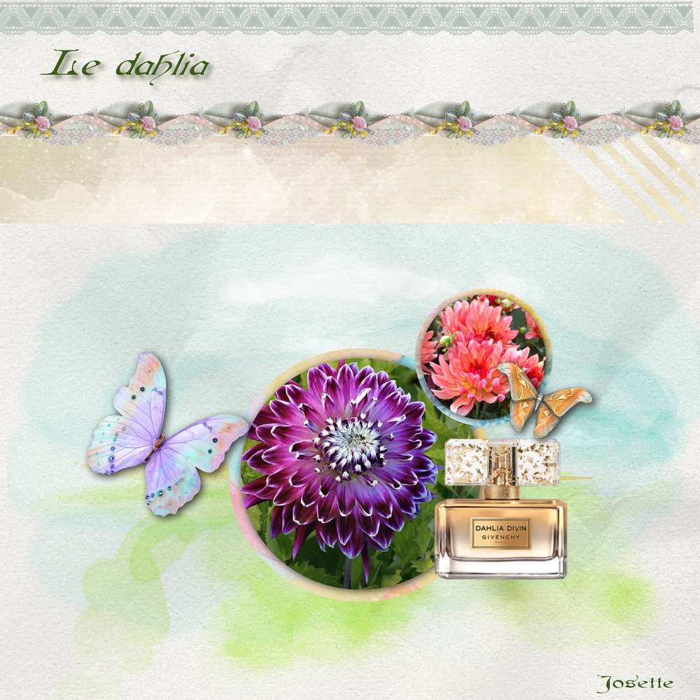 Le dahlia