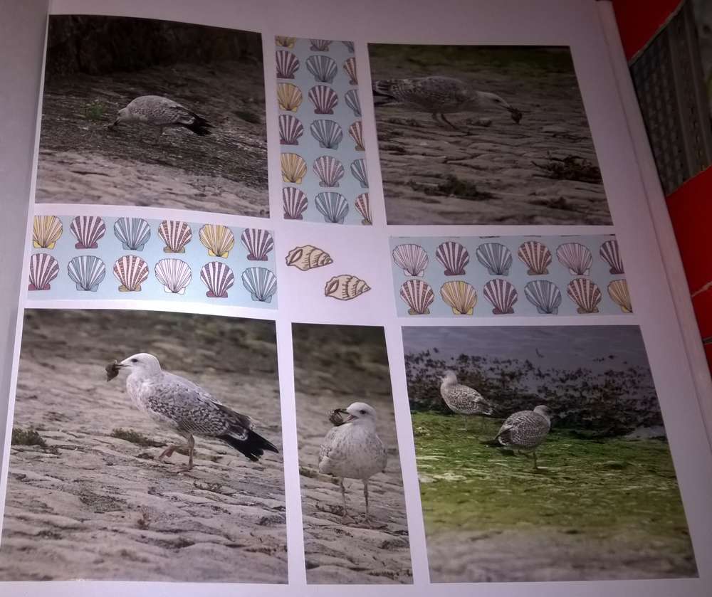 le déjeuner des mouettes