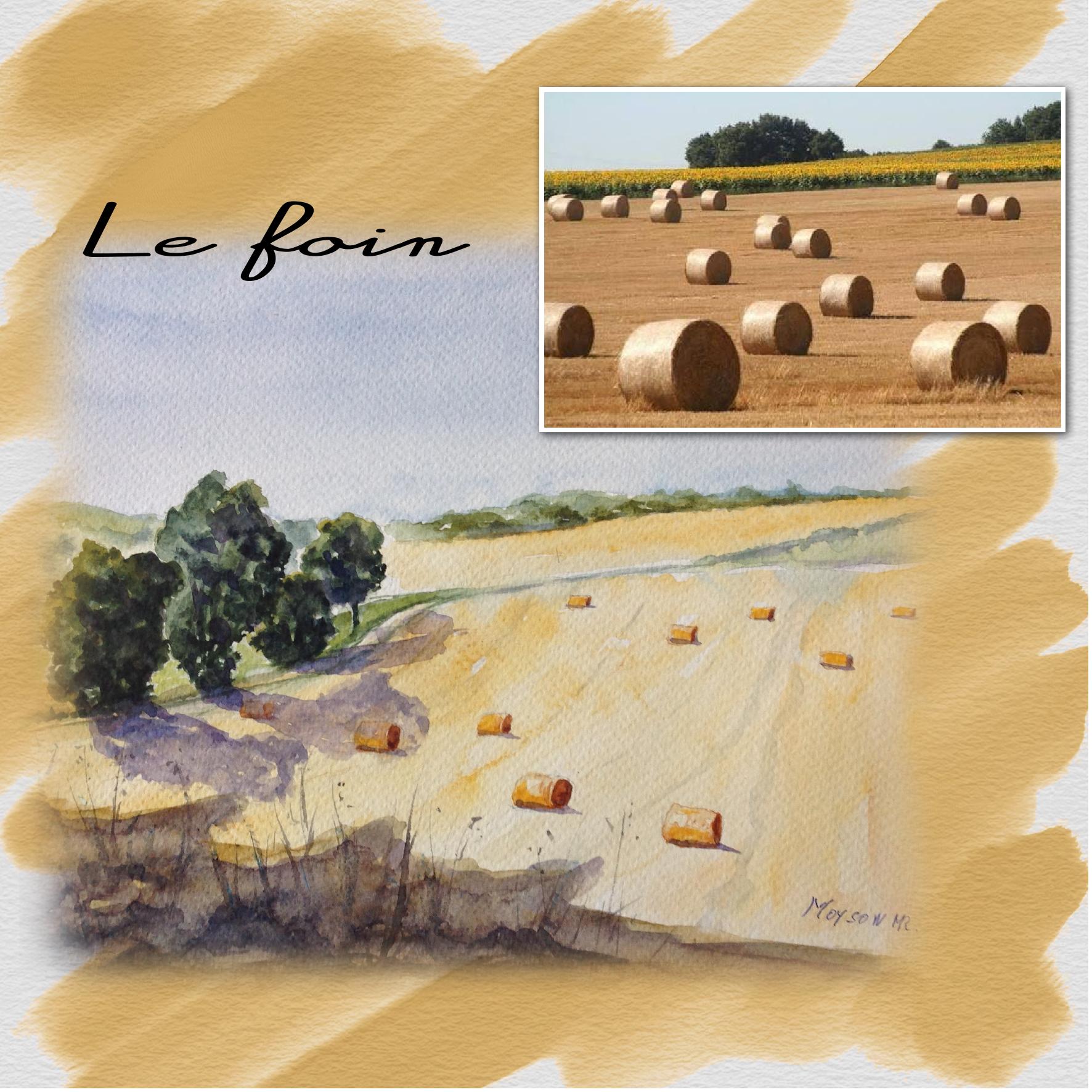 le foin.jpg