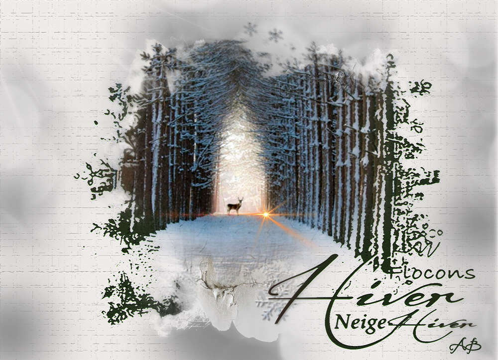 Le froid arrive ... chez nous