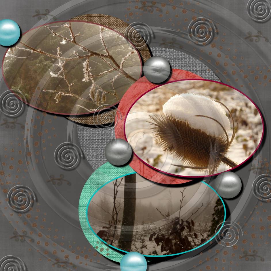 Le froid immortalisé