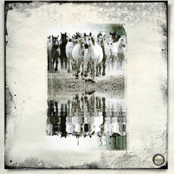 Le galop des chevaux...