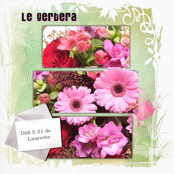 Le gerbera