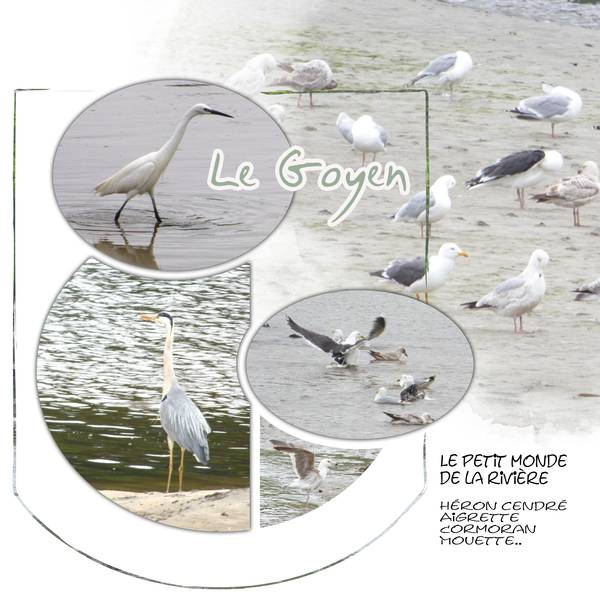 le Goyen 2