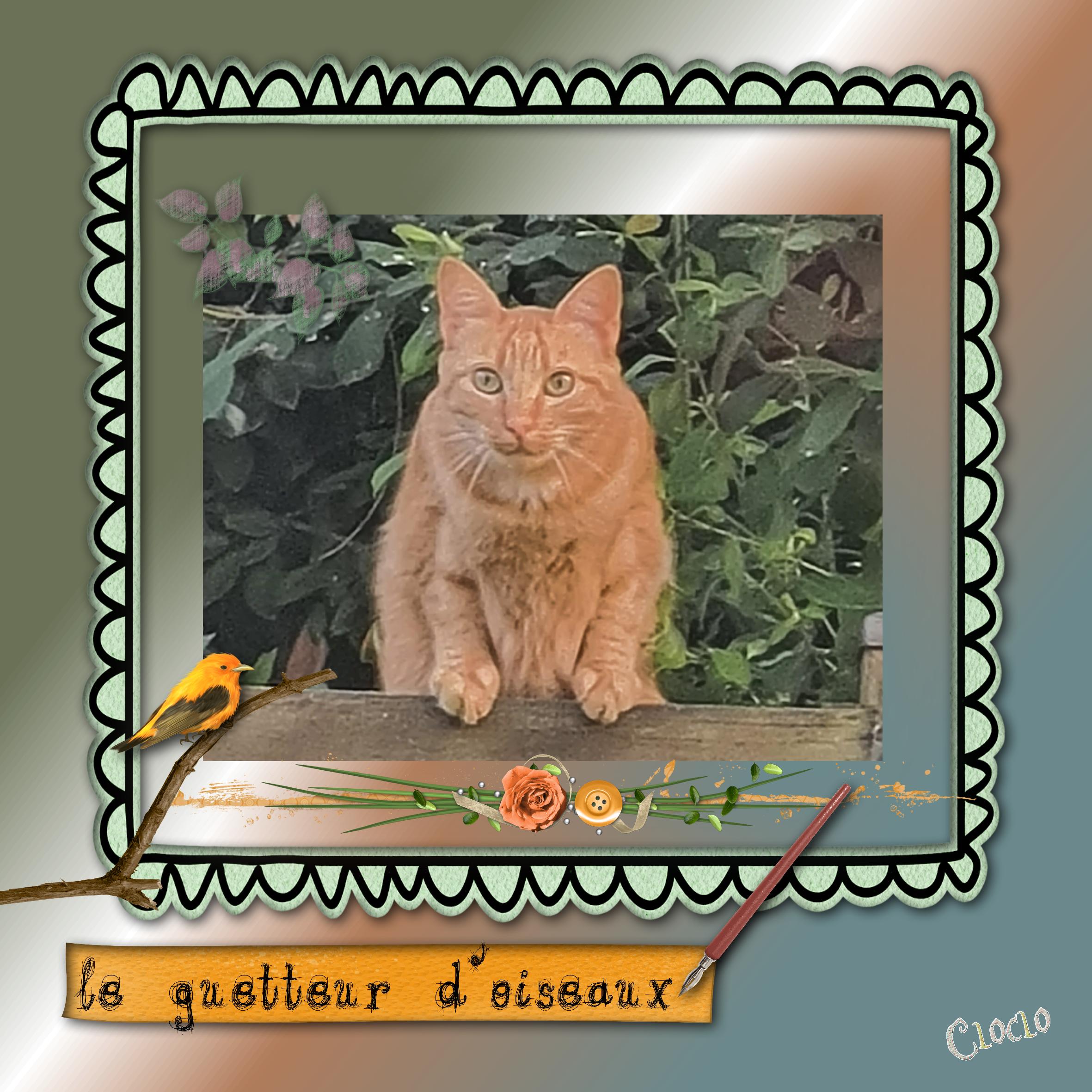 Le guetteur d'oiseaux Photo du 15 juillet 2022.jpg