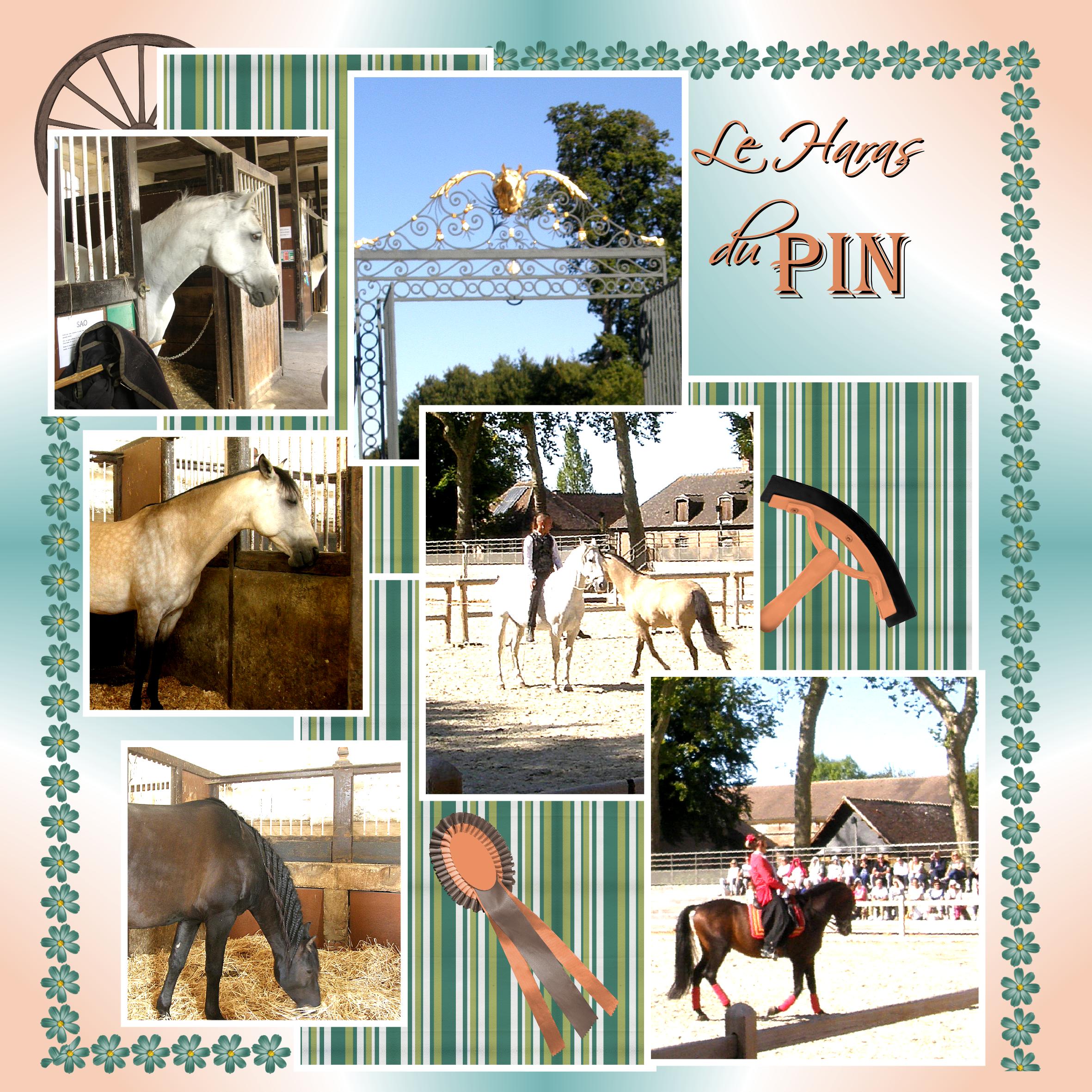 Le Haras du Pin.jpg