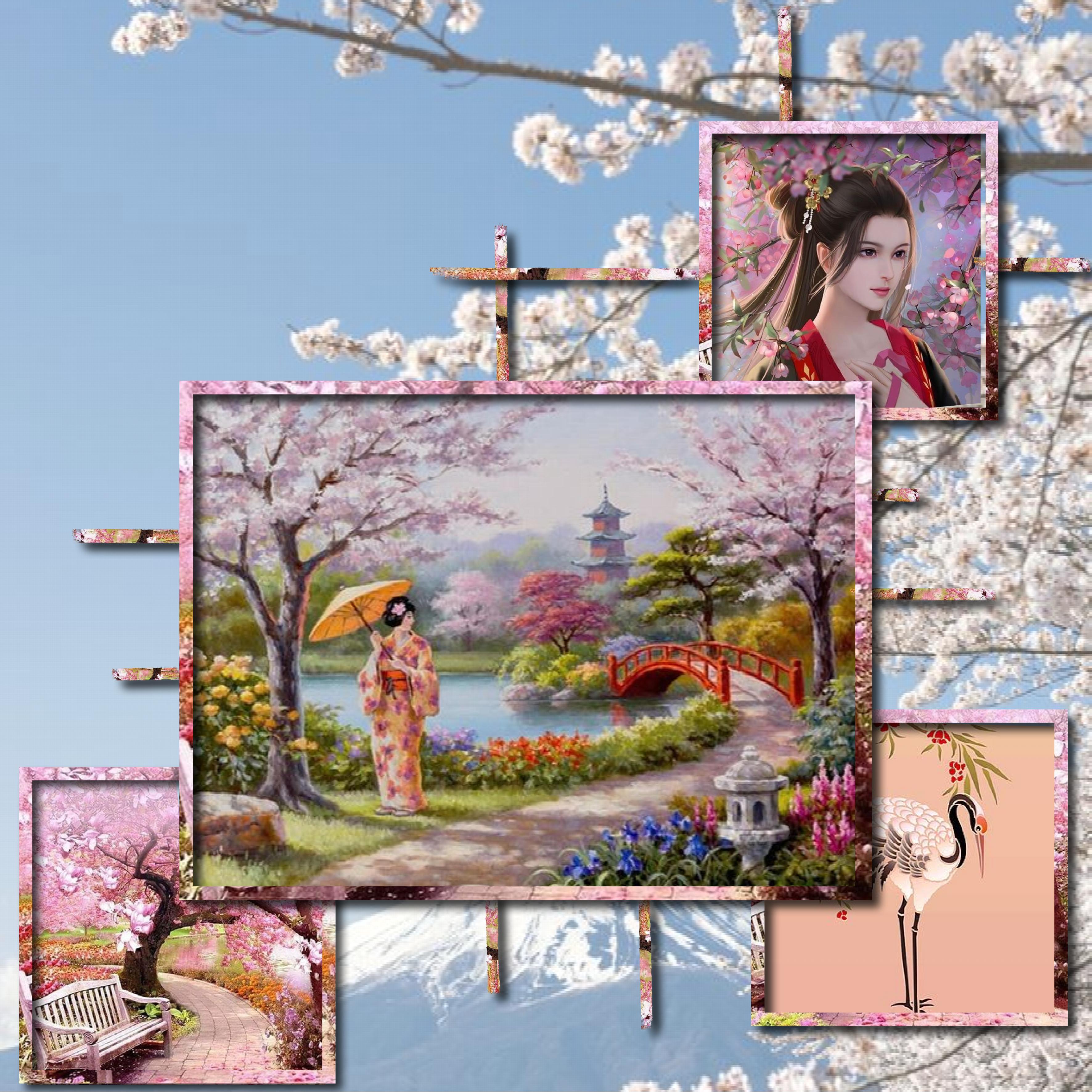 le japon en photo.jpg