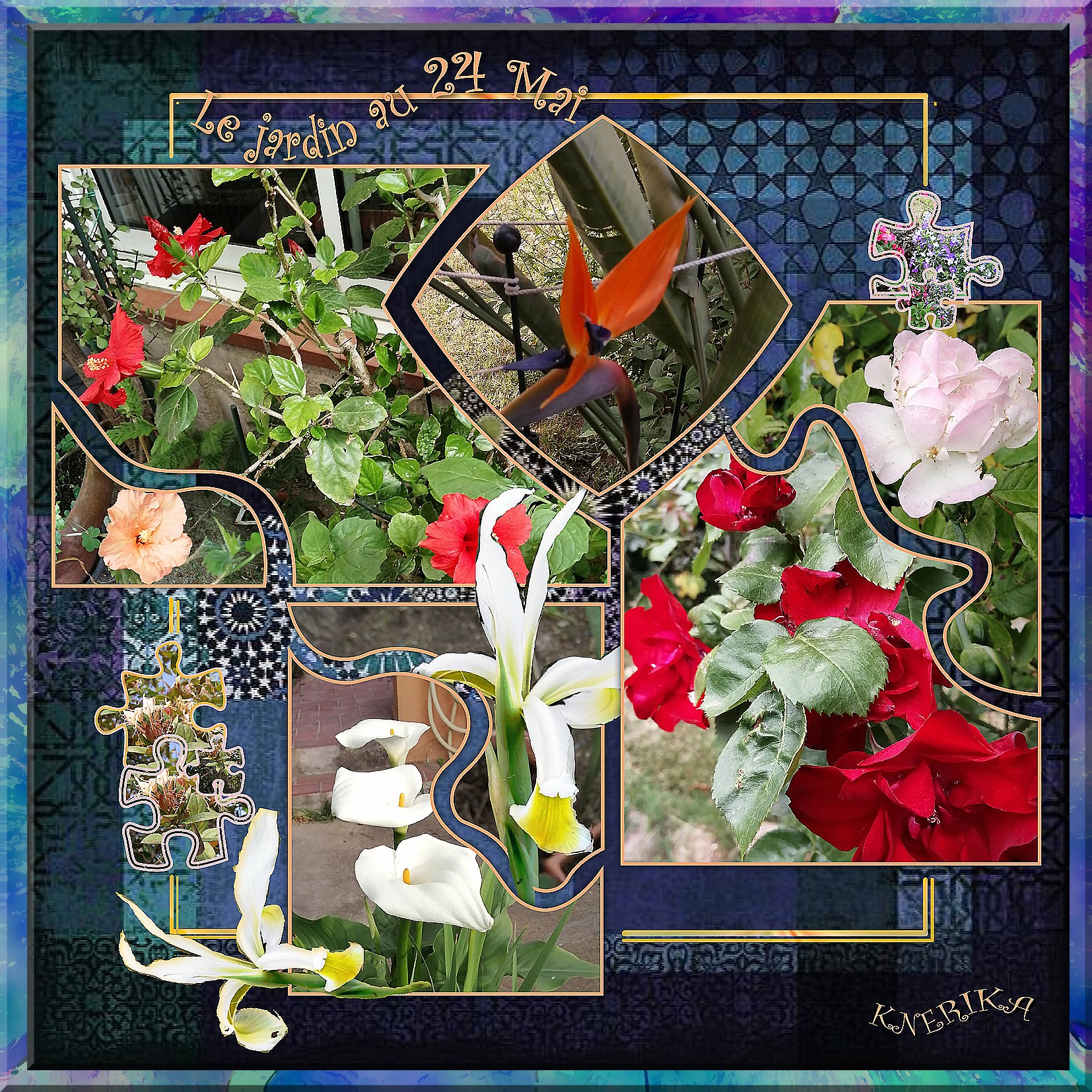 le jardin au 24 mai, Anne Marie.jpg