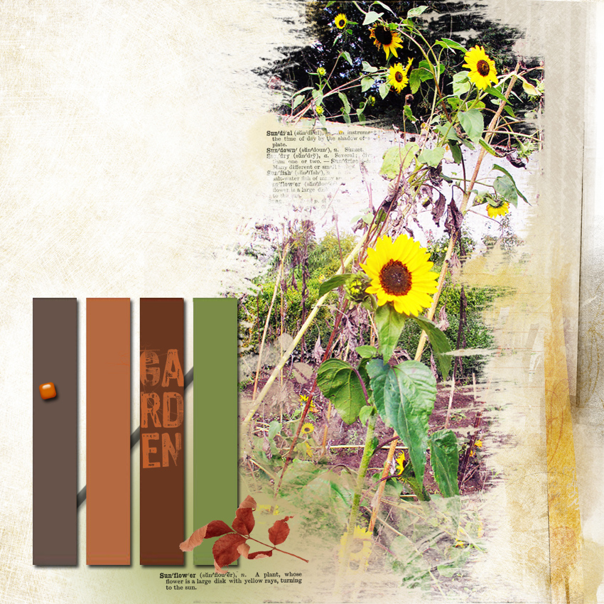 le jardin en Automne