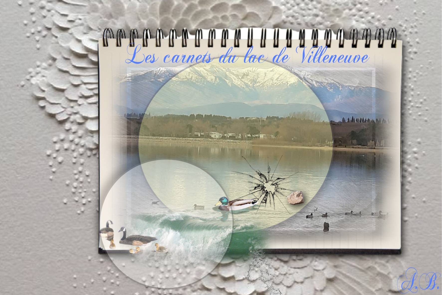 le lac de Villeneuve..jpg