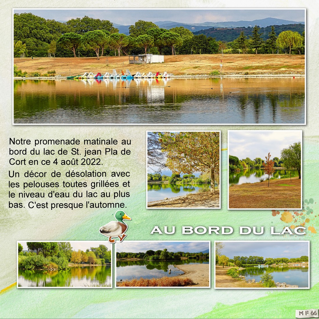 Le lac sous la canicule.jpg