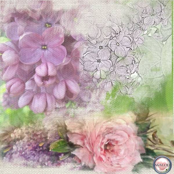 Le lilas et la rose...