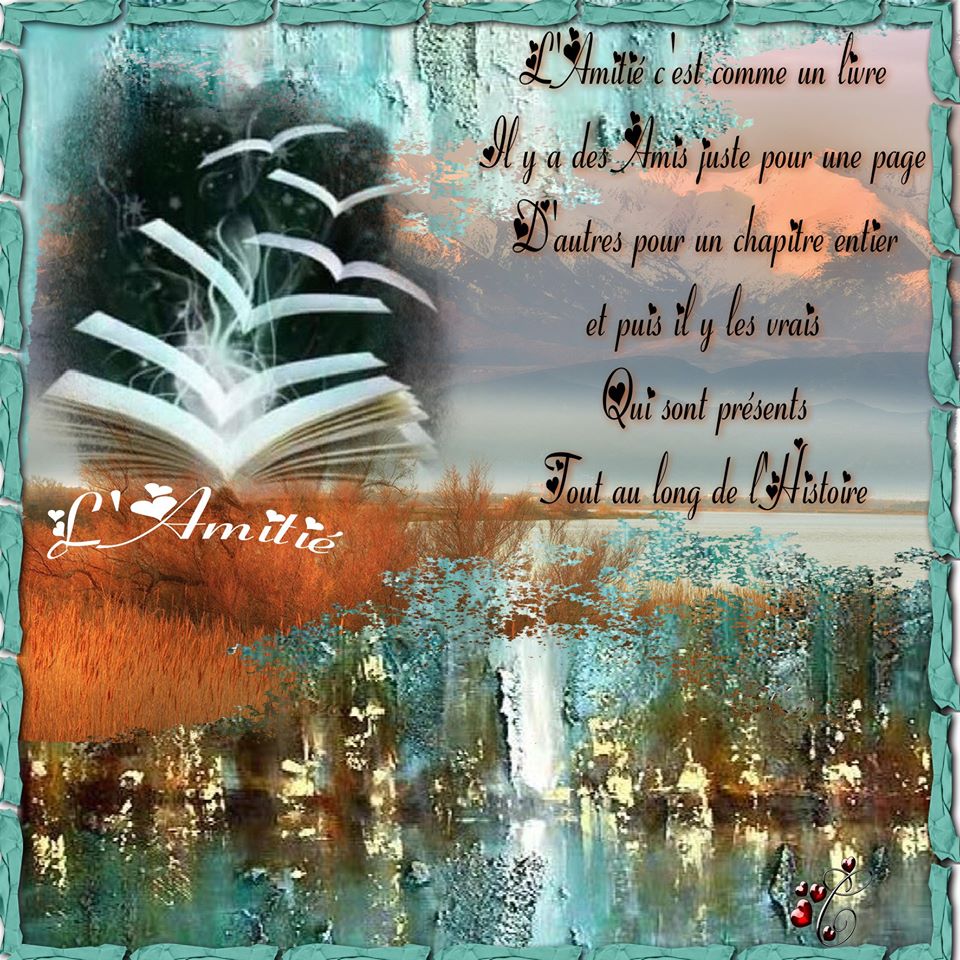 le livre et l'amitié  Christine
