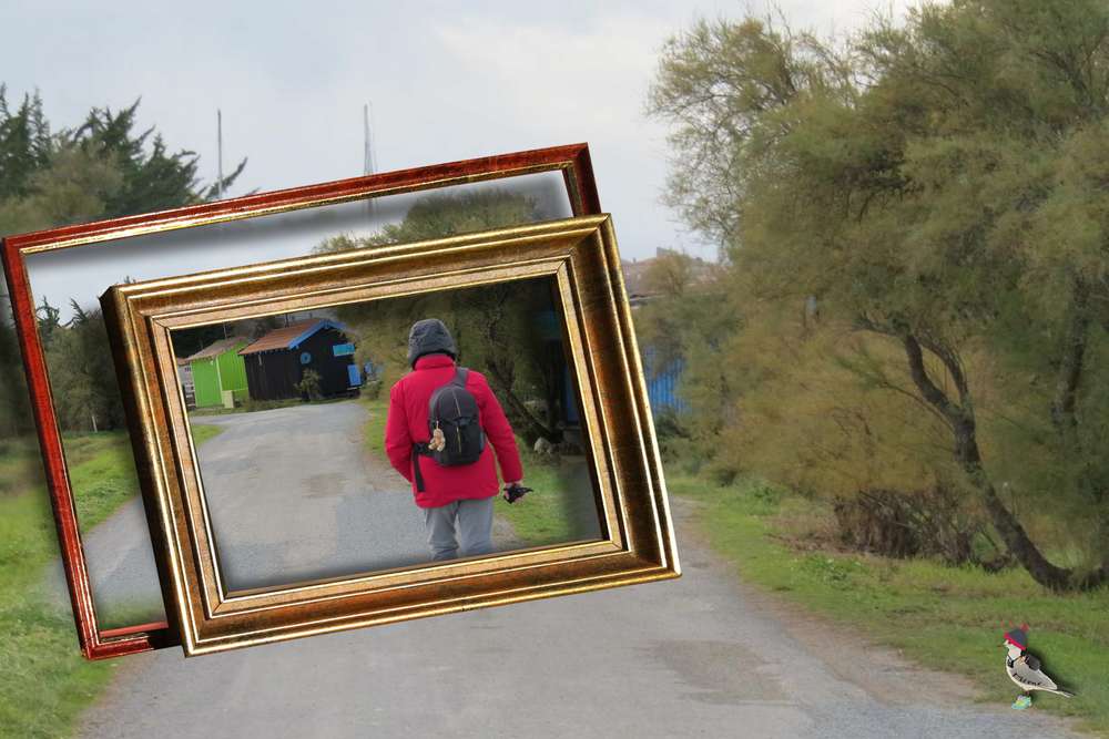 le long du chenal.....