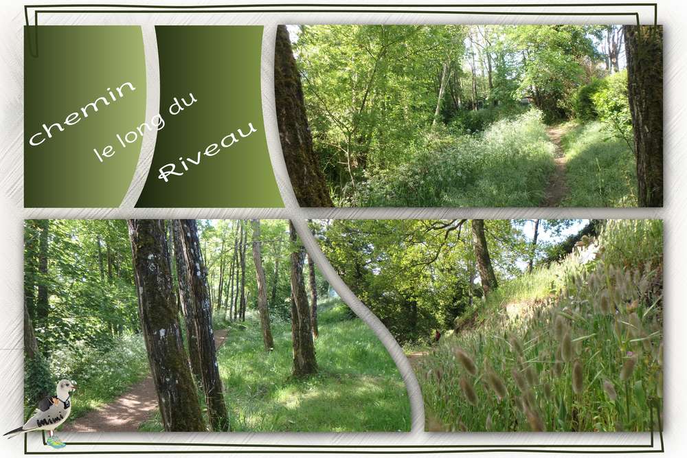le long du Riveau