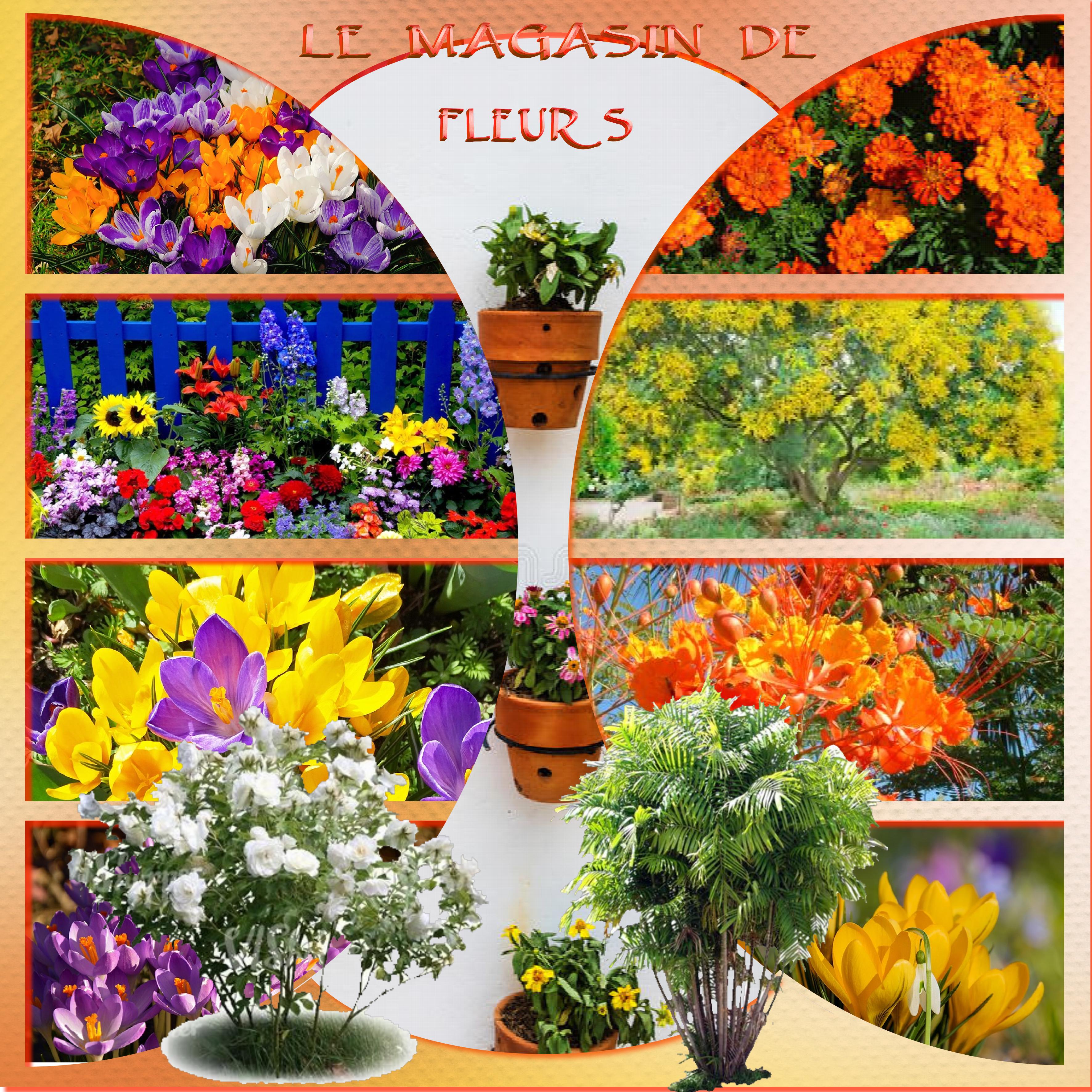le magasin de fleurs.jpg
