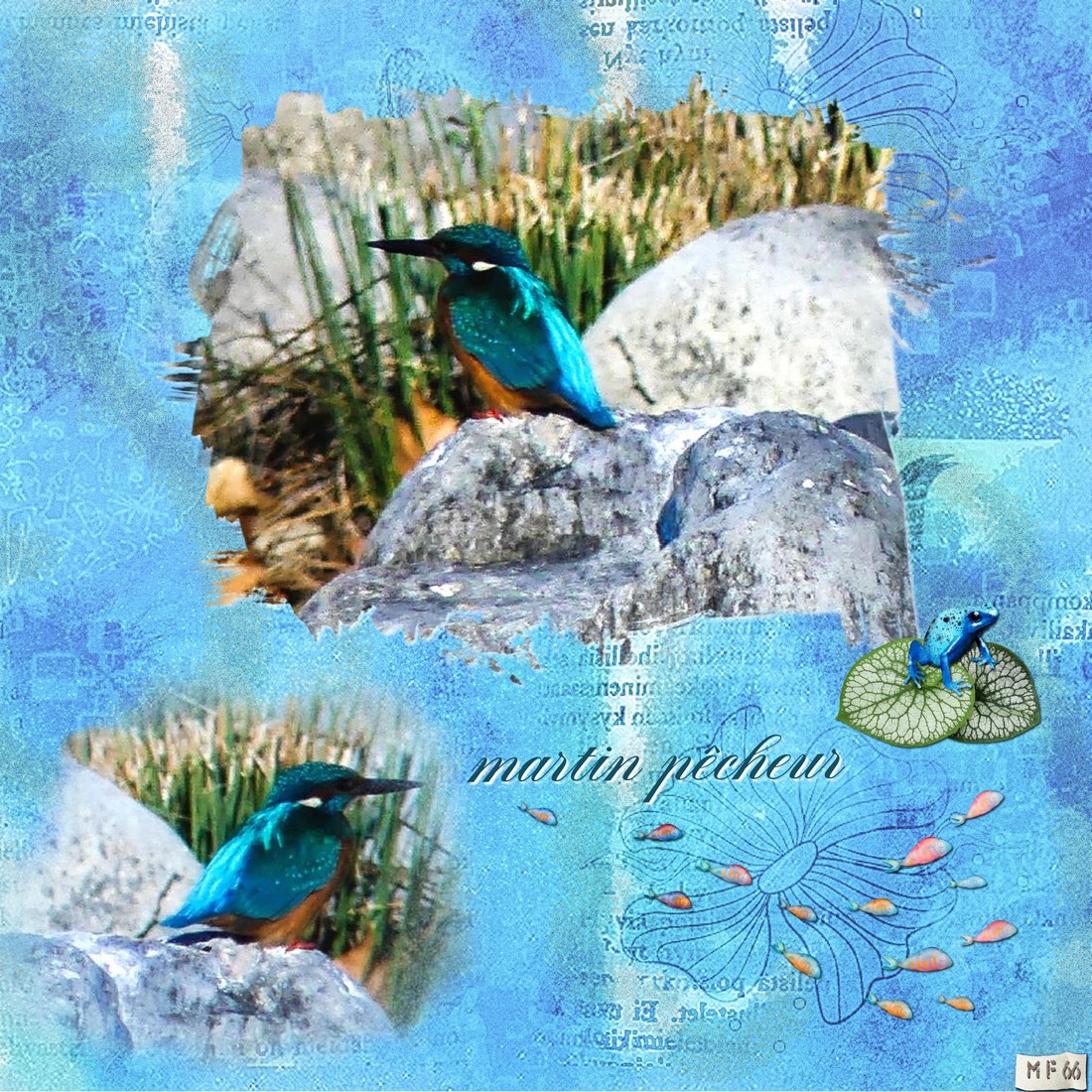 Le martin pêcheur 4.12.23.jpg