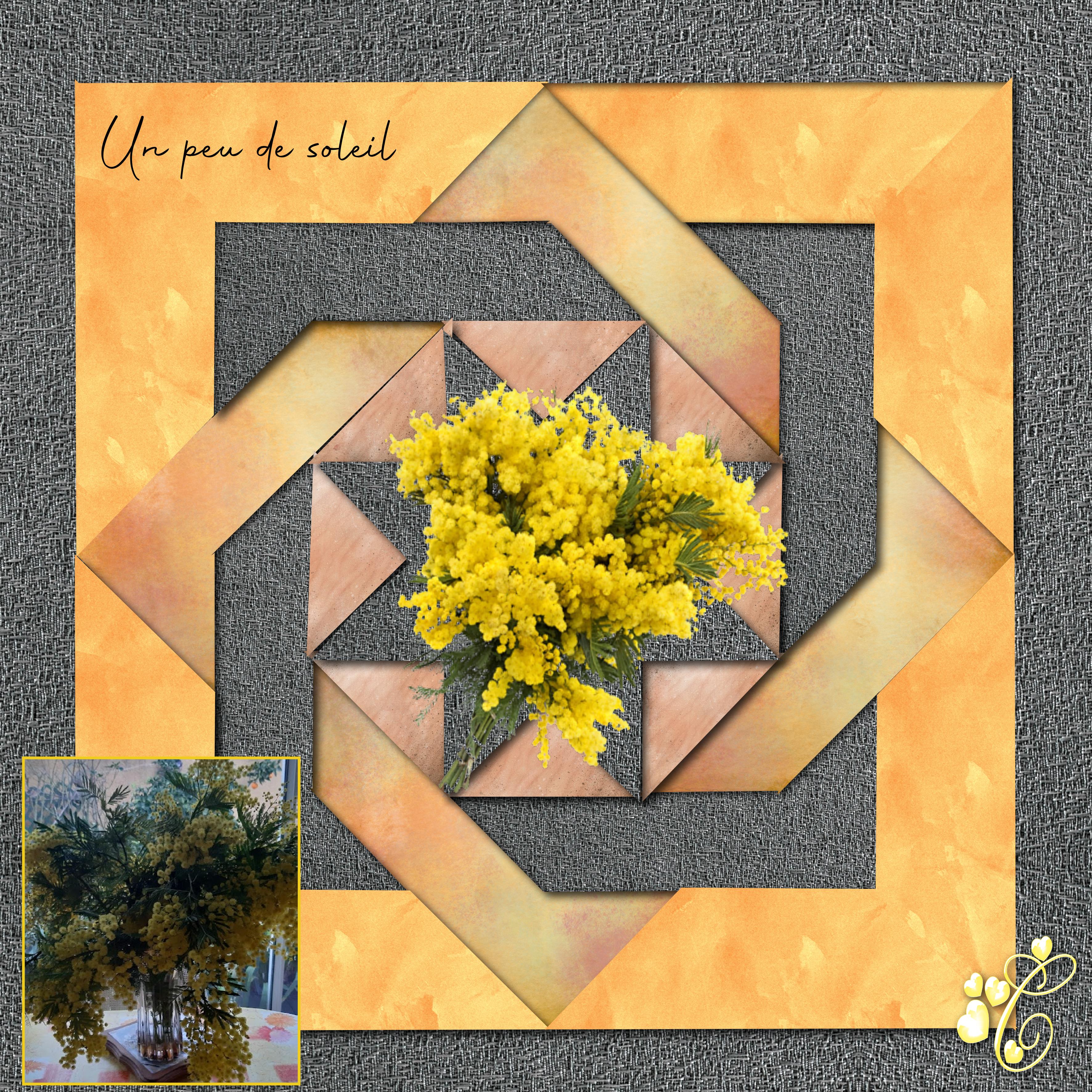 le mimosa. Christine