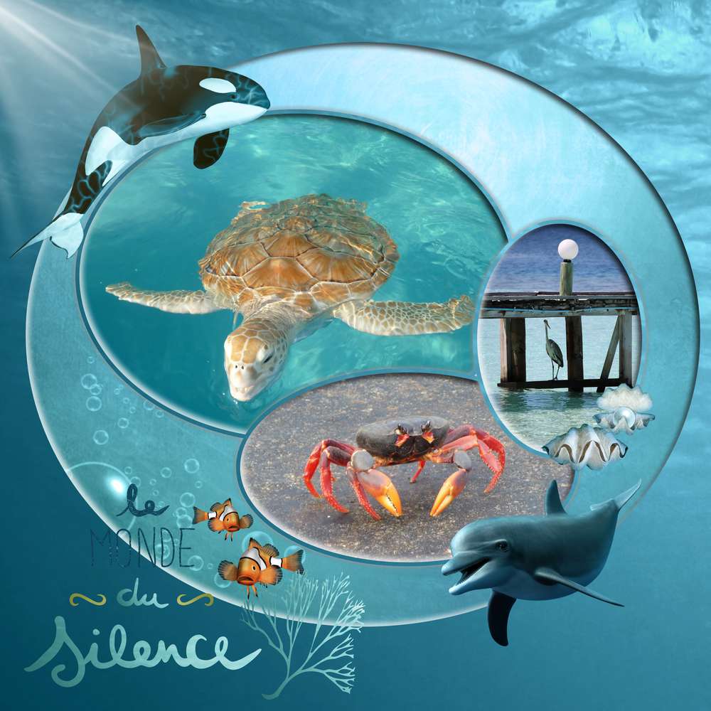 le-monde-du-silence