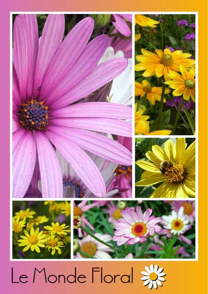 LE MONDE FLORAL