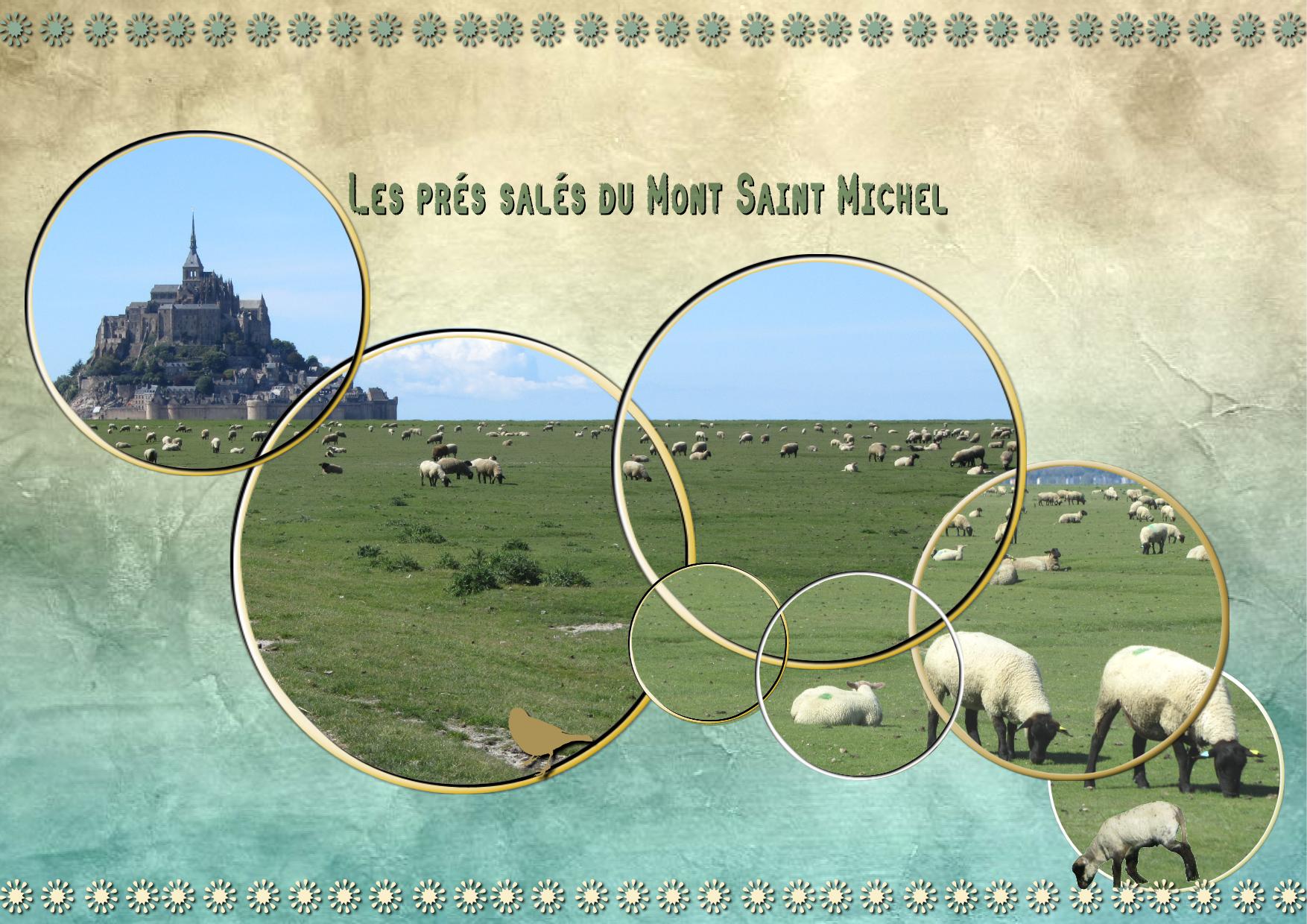 Le Mont et ses moutons de près salés.jpg