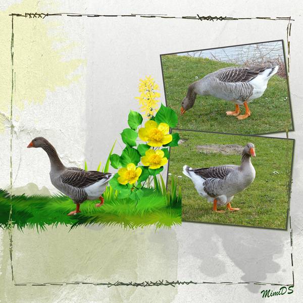 Le Morpion de Flomelle