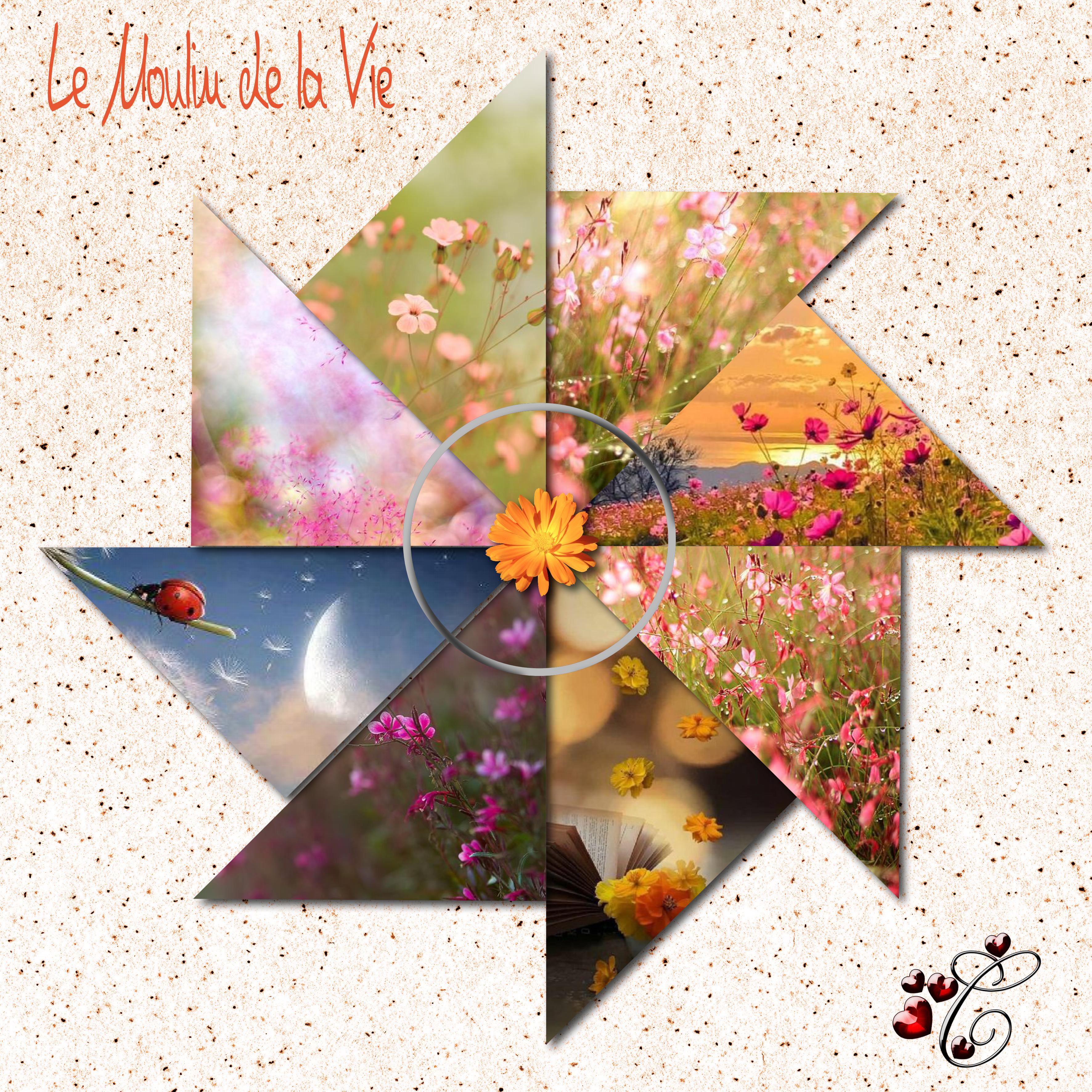 le moulin de la vie vu par Christine.jpg