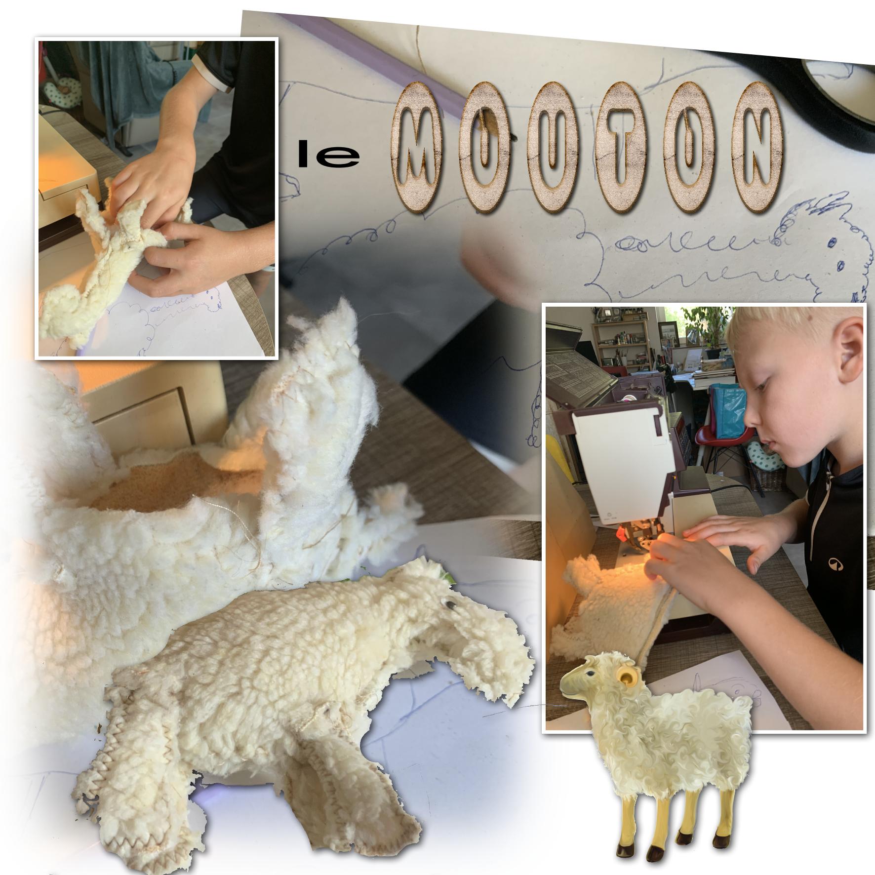 le mouton.jpg