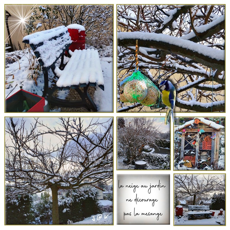 le neige au jardin et la mésange