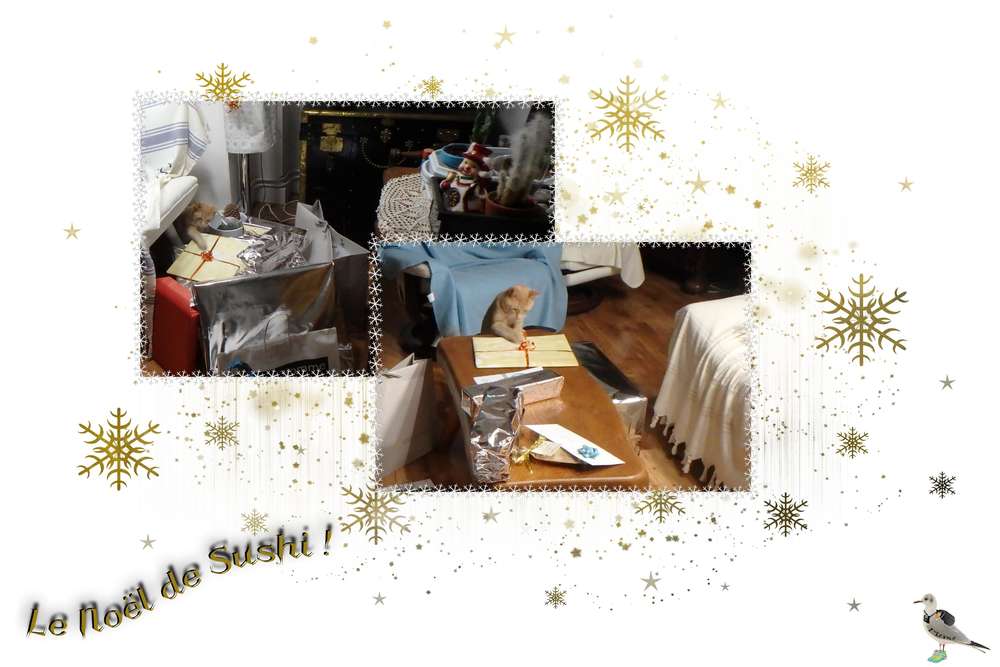 le Noël de Sushi...___