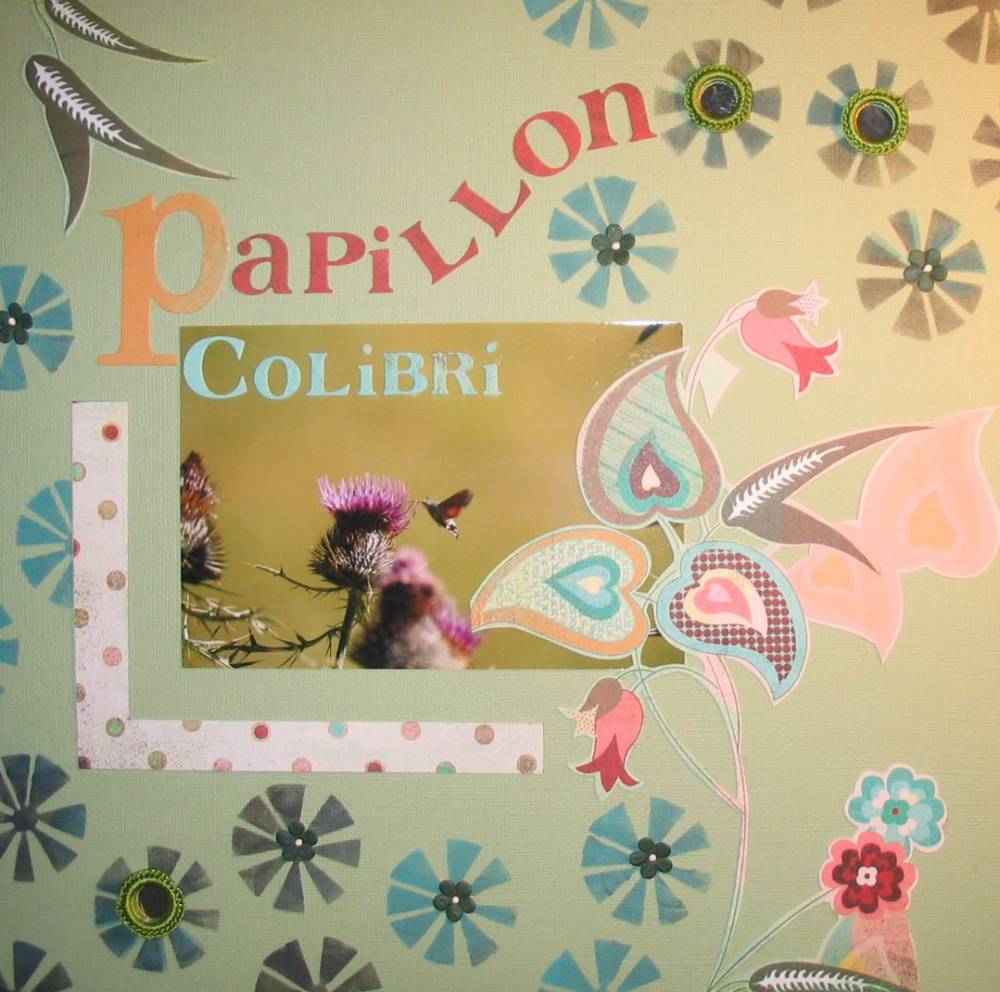 Le papillon colibri