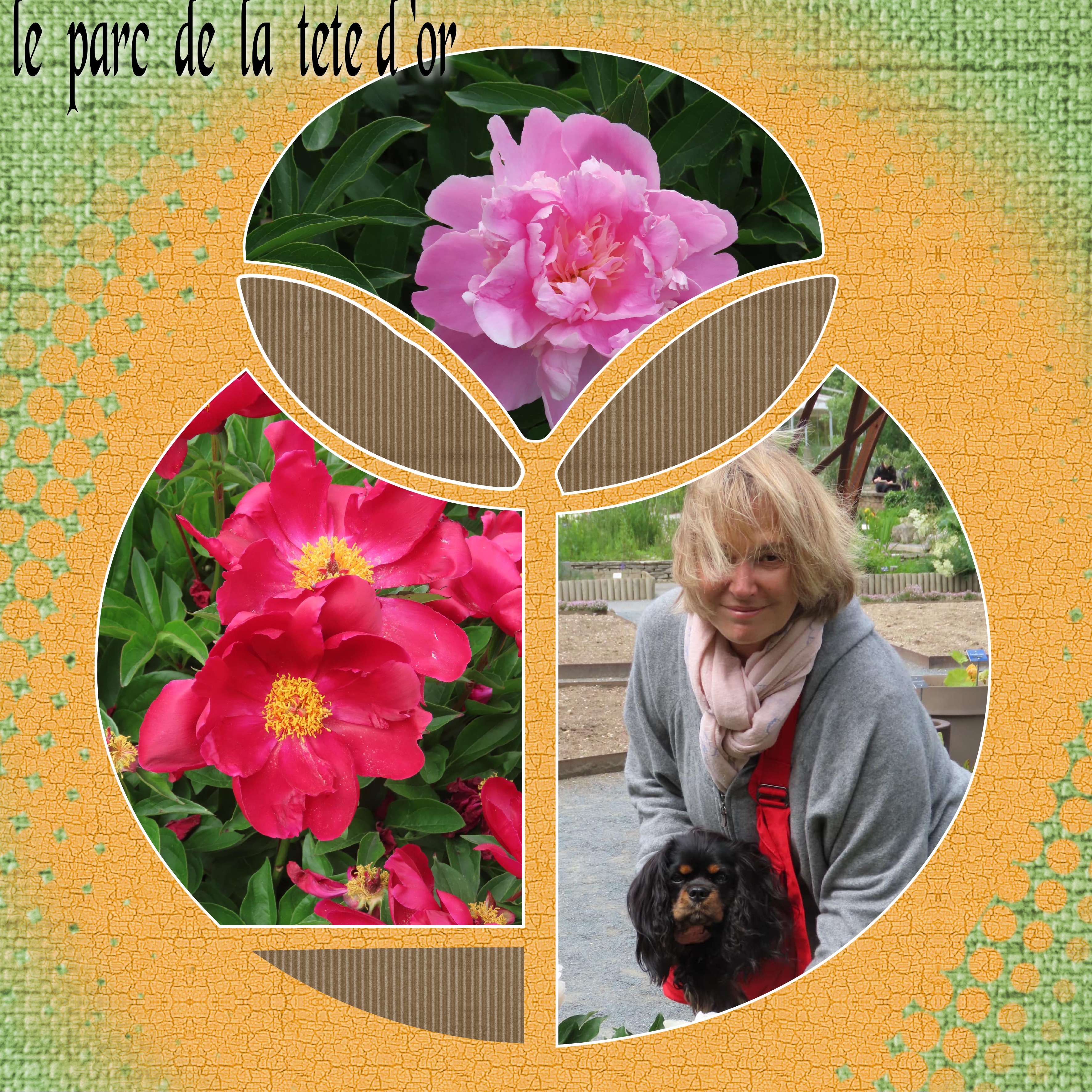 le  parc de  la tete d or.jpg