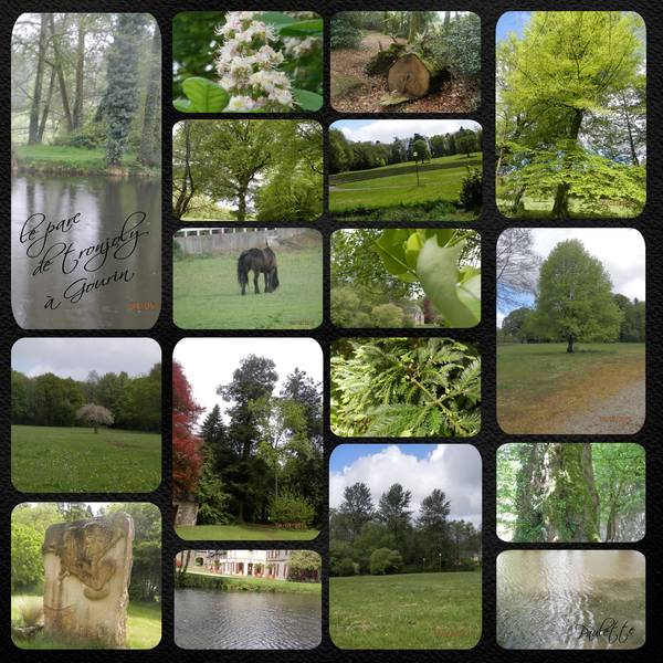 le parc de tronjoly suite et fin