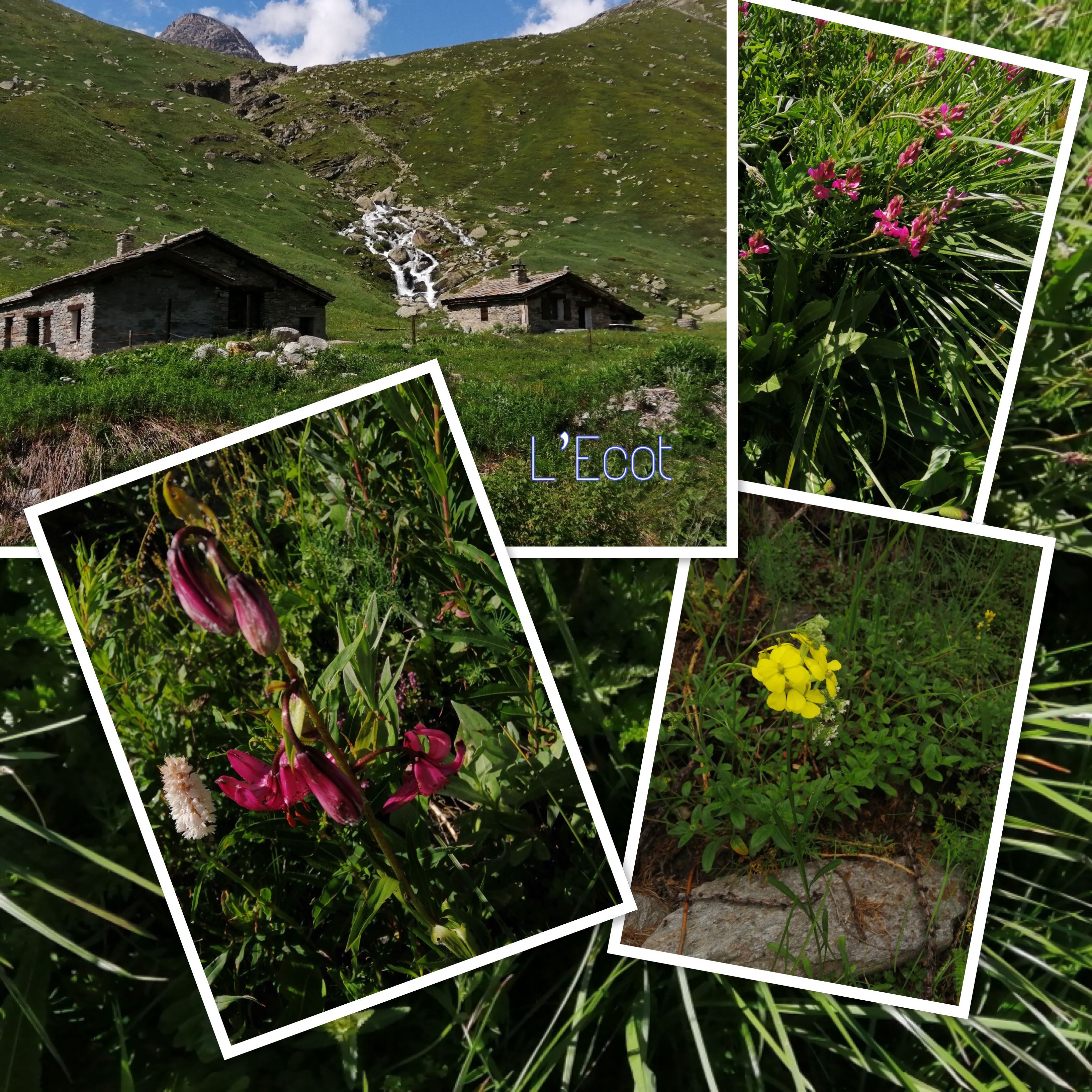 Le parc national de la Vanoise