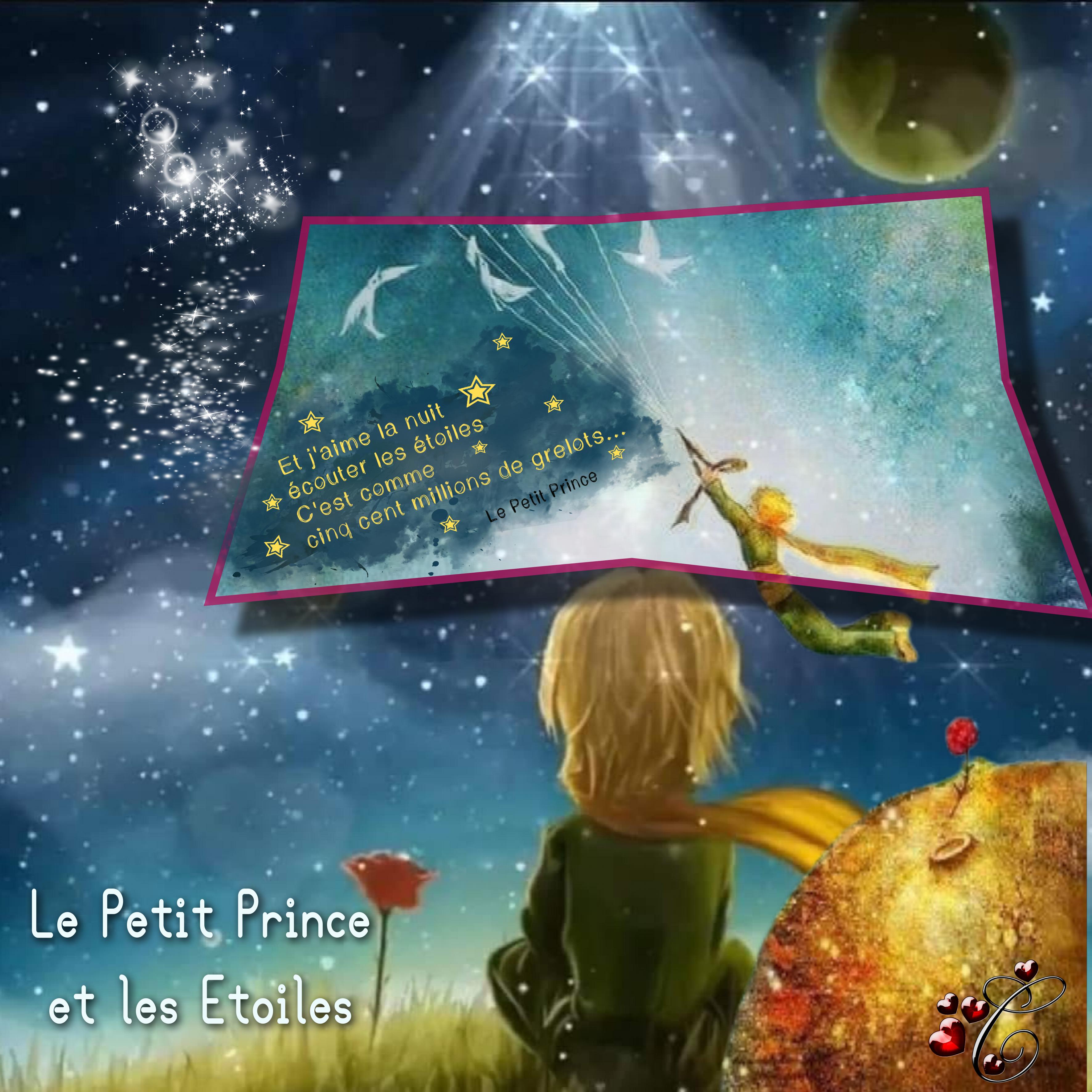 le petit prince et les étoiles  par Christine .jpg