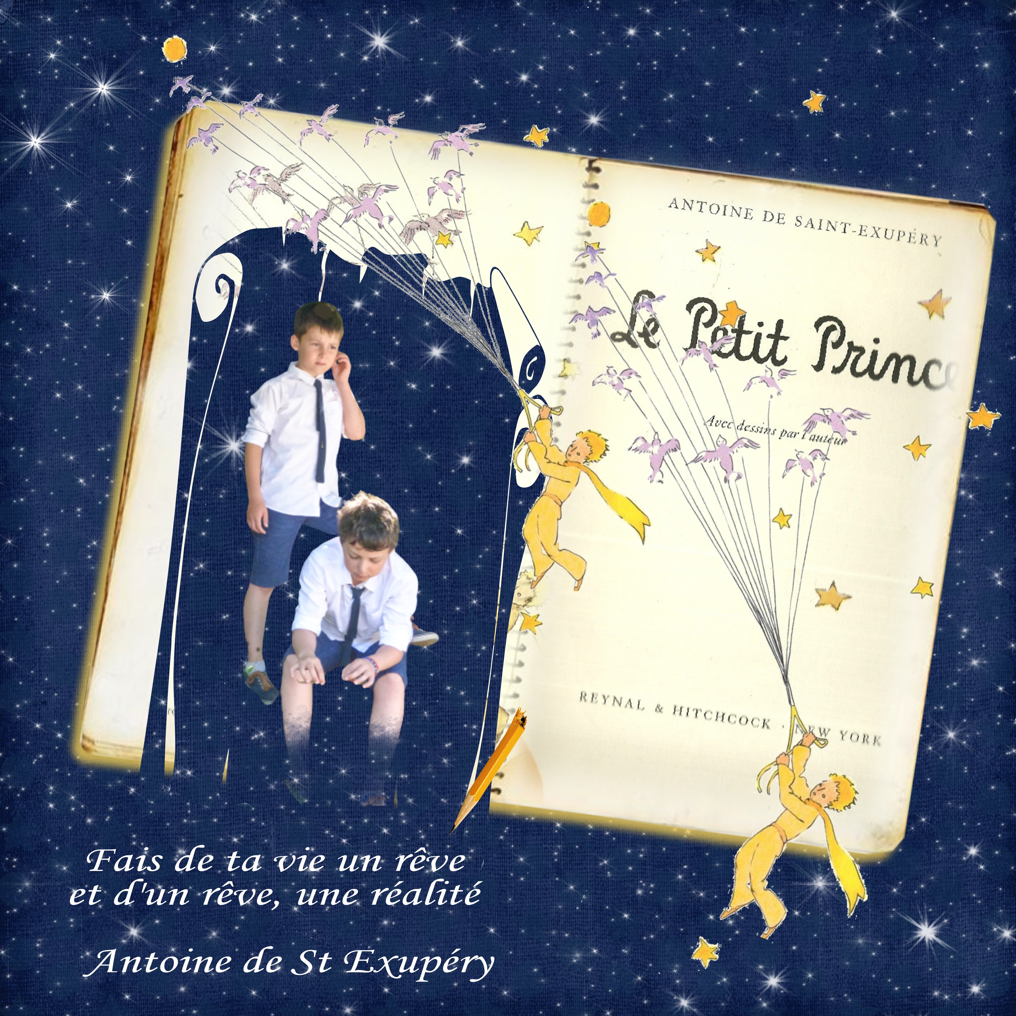 le petit prince.jpg