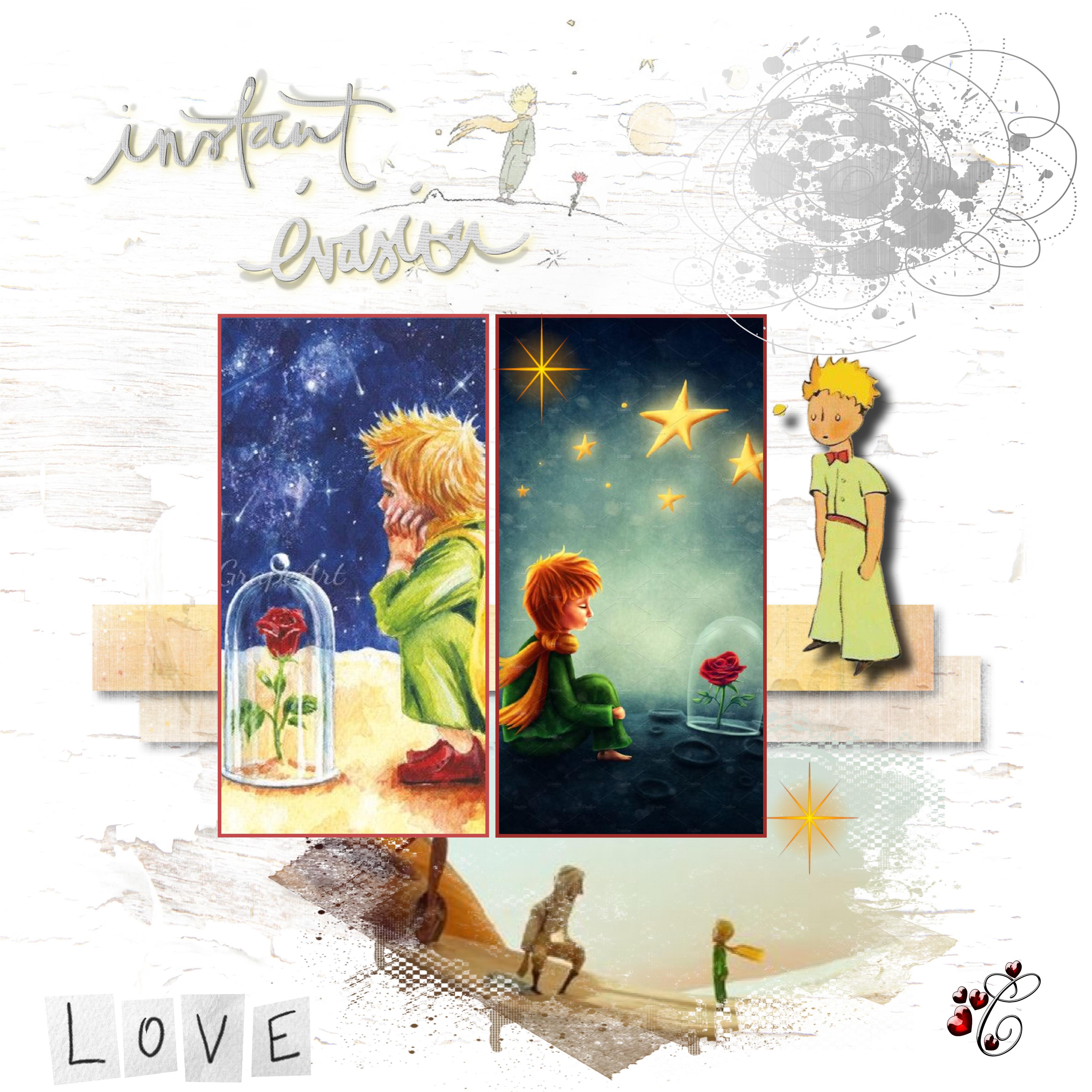 le petit prince .jpg