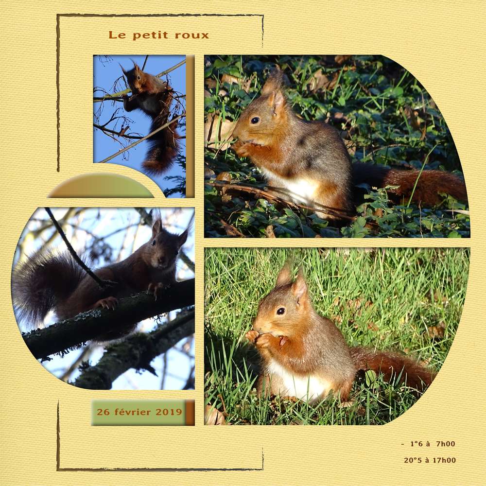 Le petit roux sortie du 26 février 2019