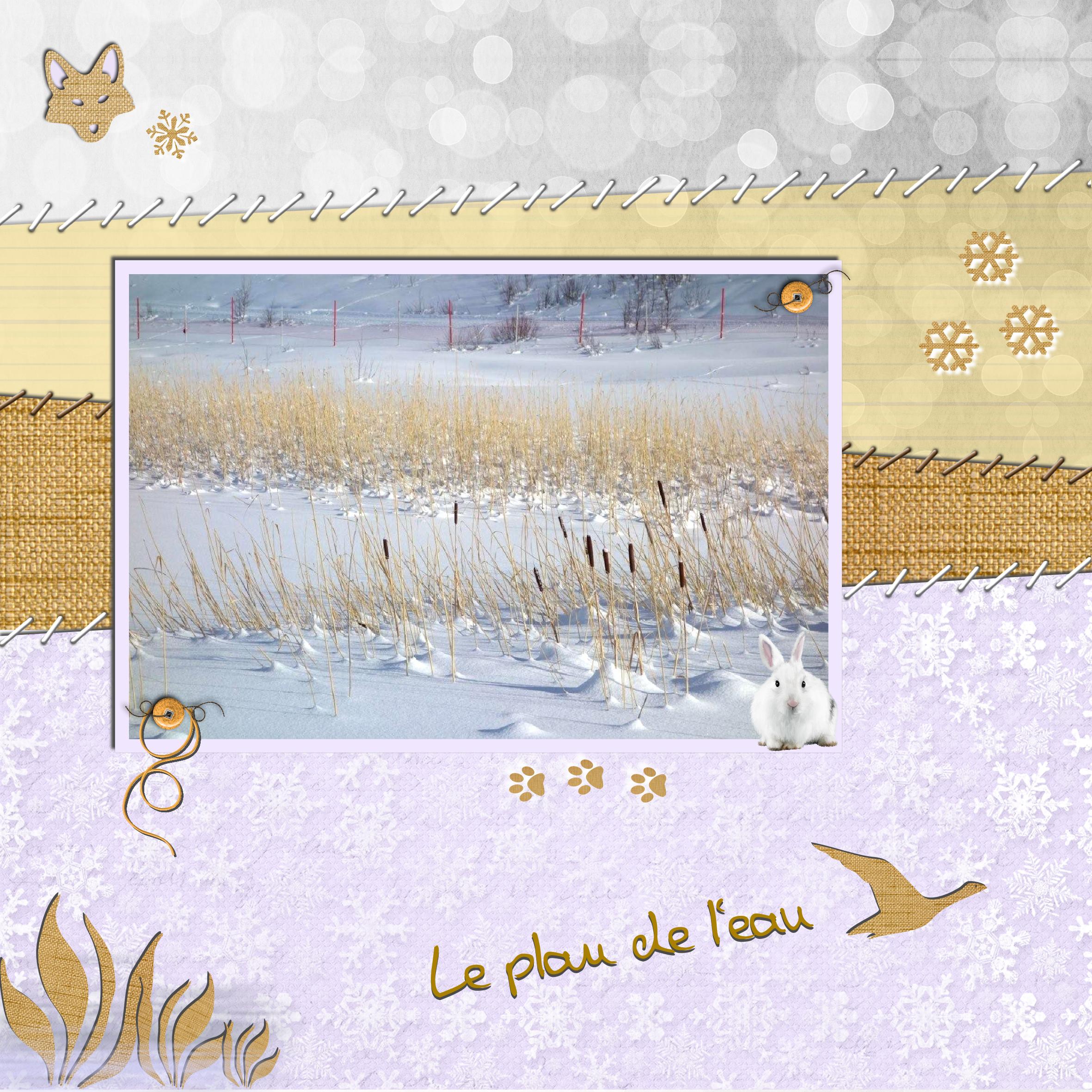 le plan de l'eau .jpg