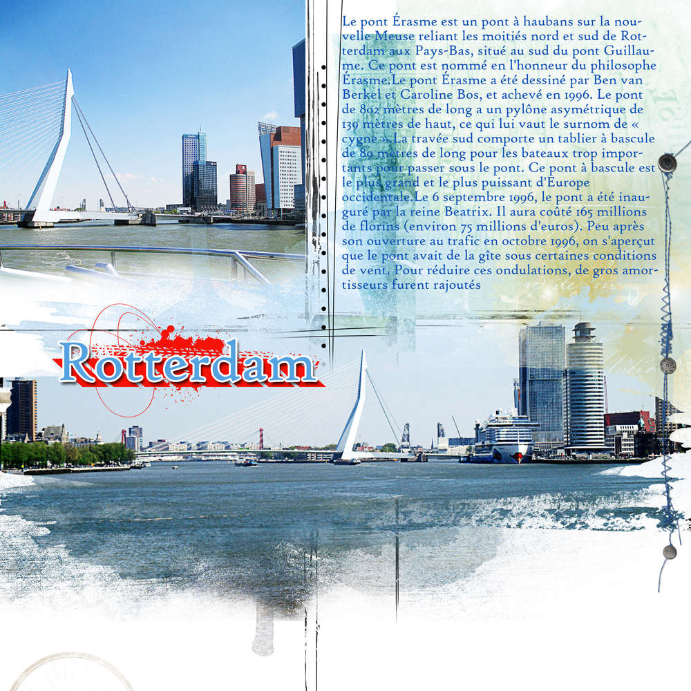 Le pont Erasmus Rotterdam