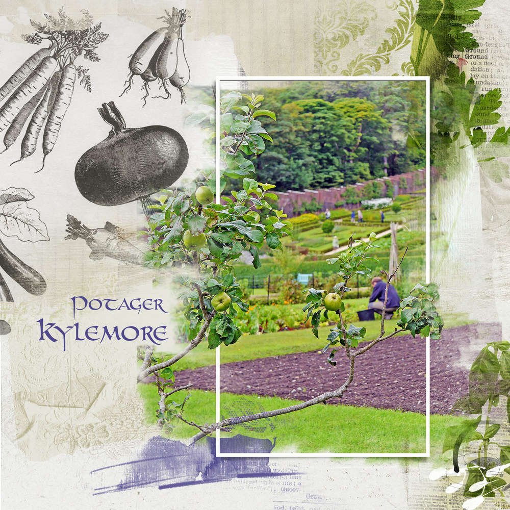 Le potager de Kylemore