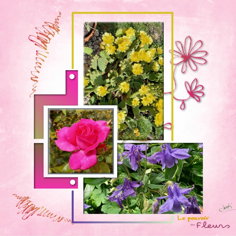 le pouvoir des fleurs 11-07-21.jpg