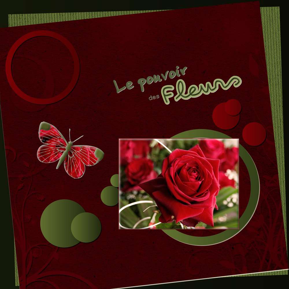 LE POUVOIR DES FLEURS